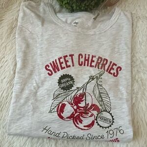 Dip Tan heather Sweet Cherries Graphic T-Shirt size 3x